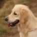 IMG 3924.thumbnail.JPG