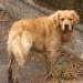 IMG 3933.thumbnail.JPG