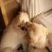IMG 3949.thumbnail.JPG
