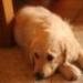 IMG 3965.thumbnail.JPG