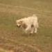 IMG 3385.thumbnail.JPG