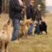IMG 3423.thumbnail.JPG