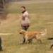 IMG 3426.thumbnail.JPG