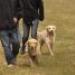 IMG 3429.thumbnail.JPG