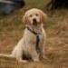 IMG 3479.thumbnail.JPG