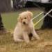 IMG 3481.thumbnail.JPG