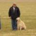 IMG 3483.thumbnail.JPG