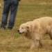 IMG 3485.thumbnail.JPG
