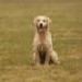 IMG 3491.thumbnail.JPG
