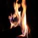 IMG 5545.JPG
