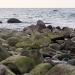 Urlaub Ostsee Binz 001 2.JPG