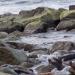 Urlaub Ostsee Binz 004.JPG