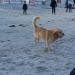 Urlaub Ostsee Binz 042.JPG