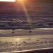 Urlaub Ostsee Binz 061.JPG