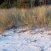 Urlaub Ostsee Binz 063.JPG