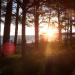 Urlaub Ostsee Binz 069.JPG