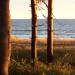 Urlaub Ostsee Binz 071.JPG