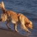 Urlaub Ostsee Binz 094.JPG
