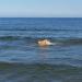 Urlaub Ostsee Binz 118.JPG