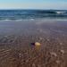 Urlaub Ostsee Binz 121.JPG