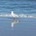 Urlaub Ostsee Binz 123.JPG