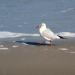 Urlaub Ostsee Binz 181.JPG
