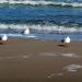 Urlaub Ostsee Binz 185.JPG