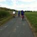 IMG 1184