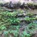 IMG 1436.JPG
