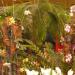 Gruene Woche 2009 051