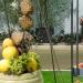 Gruene Woche 2009 068