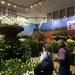 GrueneWoche 2014 037.JPG