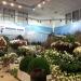 GrueneWoche Kreuzer 2014 026.JPG