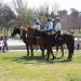 HENT1262 resize to FullHD.JPG