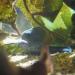 HENT1816 resize to FullHD.JPG