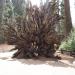 HENT2862 resize to FullHD.JPG