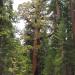 HENT2905 resize to FullHD.JPG