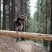 HENT2943 resize to FullHD.JPG