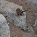 HENT3043 resize to FullHD.JPG