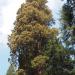 HENT3060 resize to FullHD.JPG