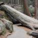 HENT3092 resize to FullHD.JPG