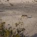 HENT3288 resize to FullHD.JPG