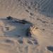 HENT3342 resize to FullHD.JPG