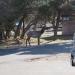 HENT3696 resize to FullHD.JPG