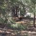 HENT3700 resize to FullHD.JPG