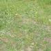 HENT0126 resize to FullHD.JPG